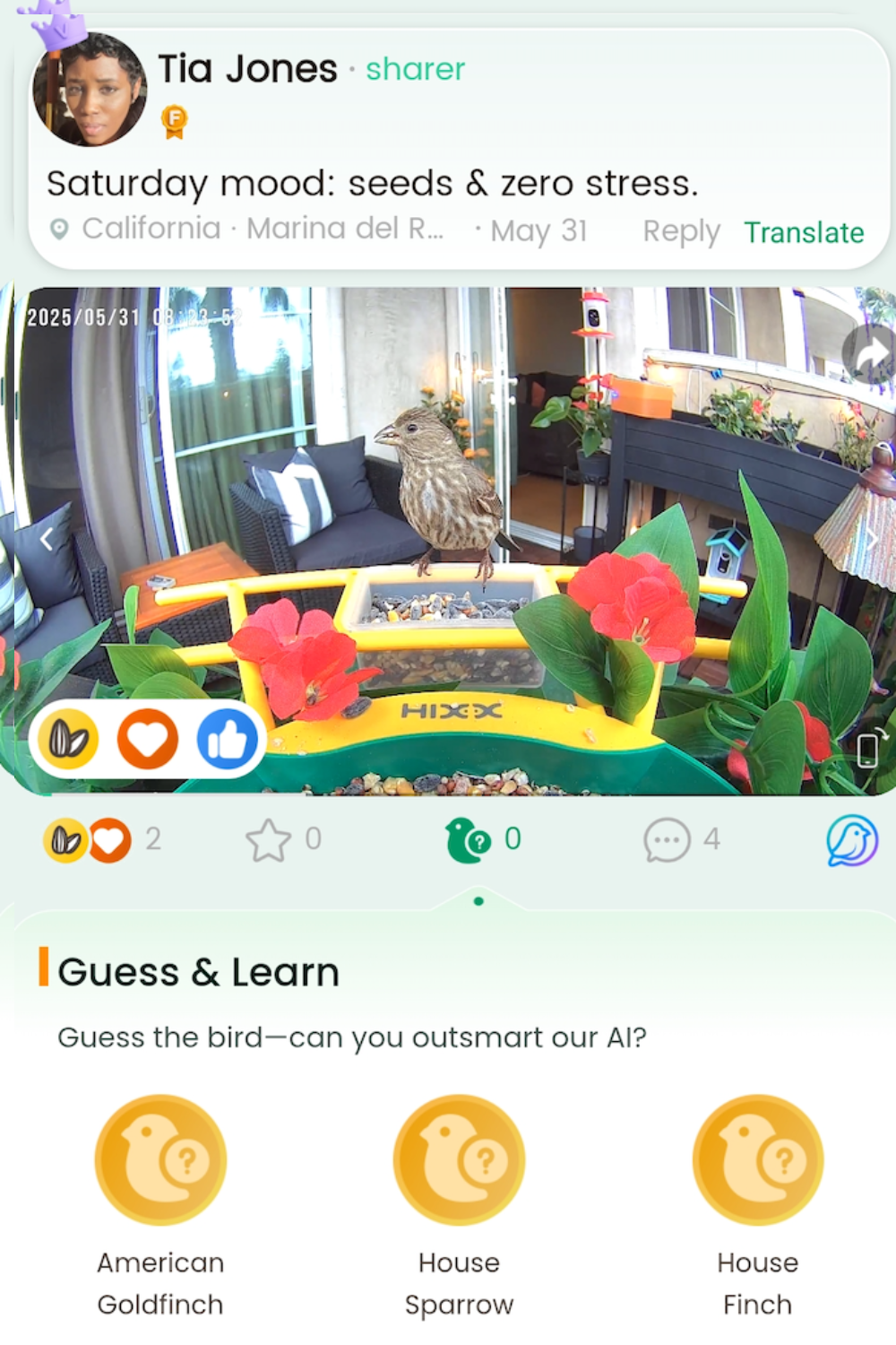 Android_Iphone_Bird_Watching_CoolFly_App_1