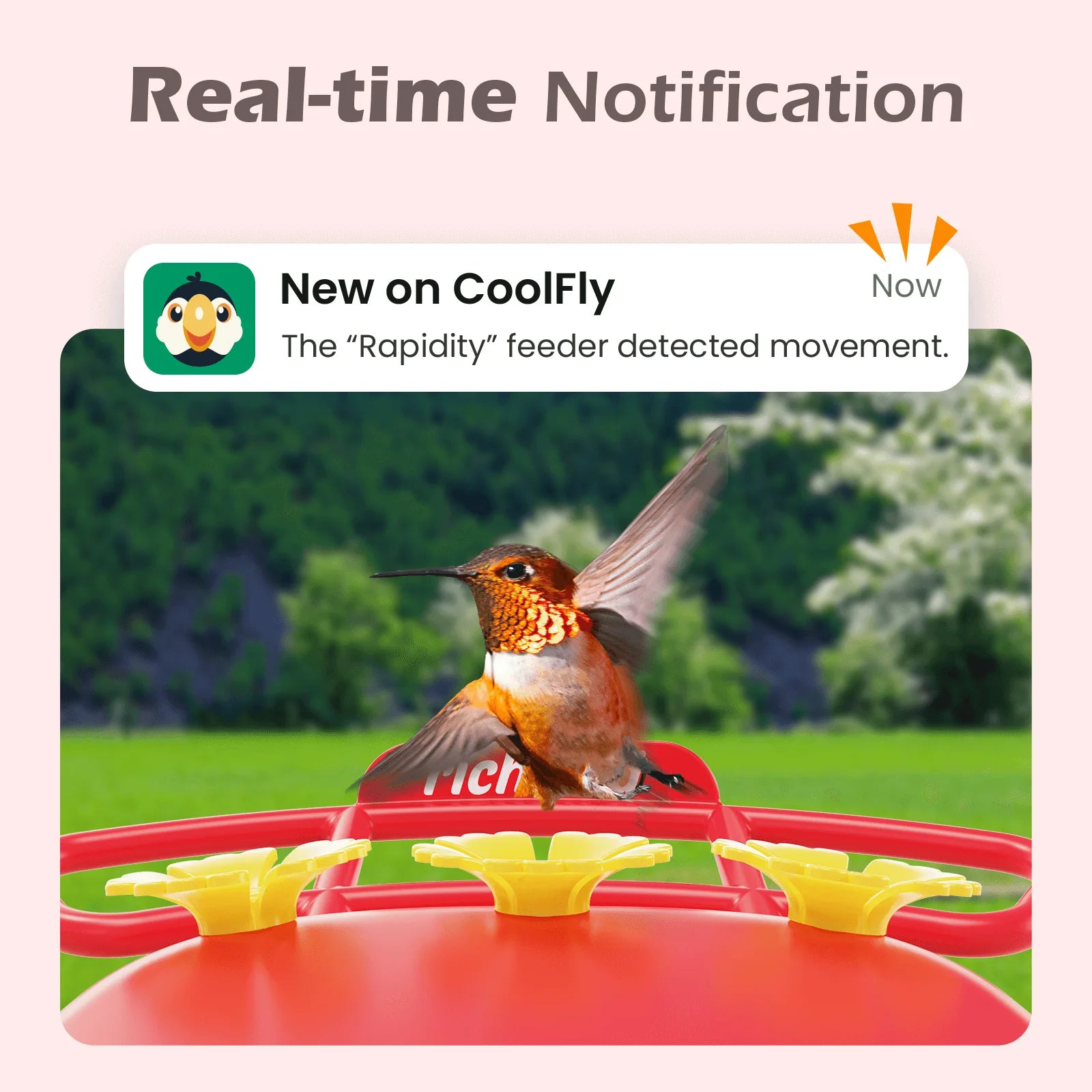 RichBird Smart Hummingbird Feeder with Camera sends real-time app alerts when a hummingbird is detected. Features vibrant red and yellow feeding ports.