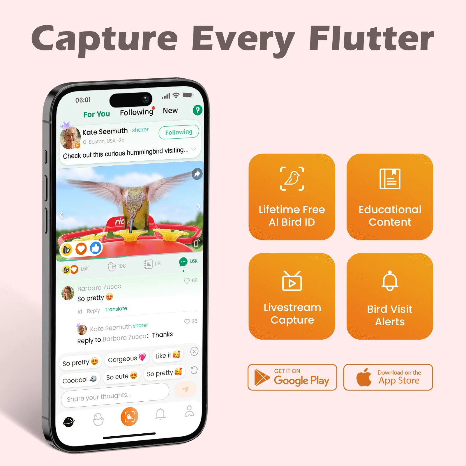RichBird Smart Hummingbird Feeder with Camera displays live bird footage on smartphone app with AI bird ID and bird visit alerts. Ideal for balconies or backyards.