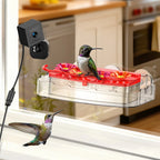 Nectlee Smart Window Hummingbird Feeder Camera