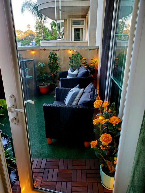 Birds of Our Lives (Balcony Set-up)