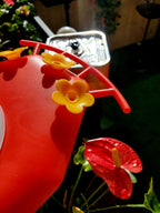 Hixx Red_Smart_Hummingbird_Feeder_AI_Camera-_Birds_of_Our_Lives