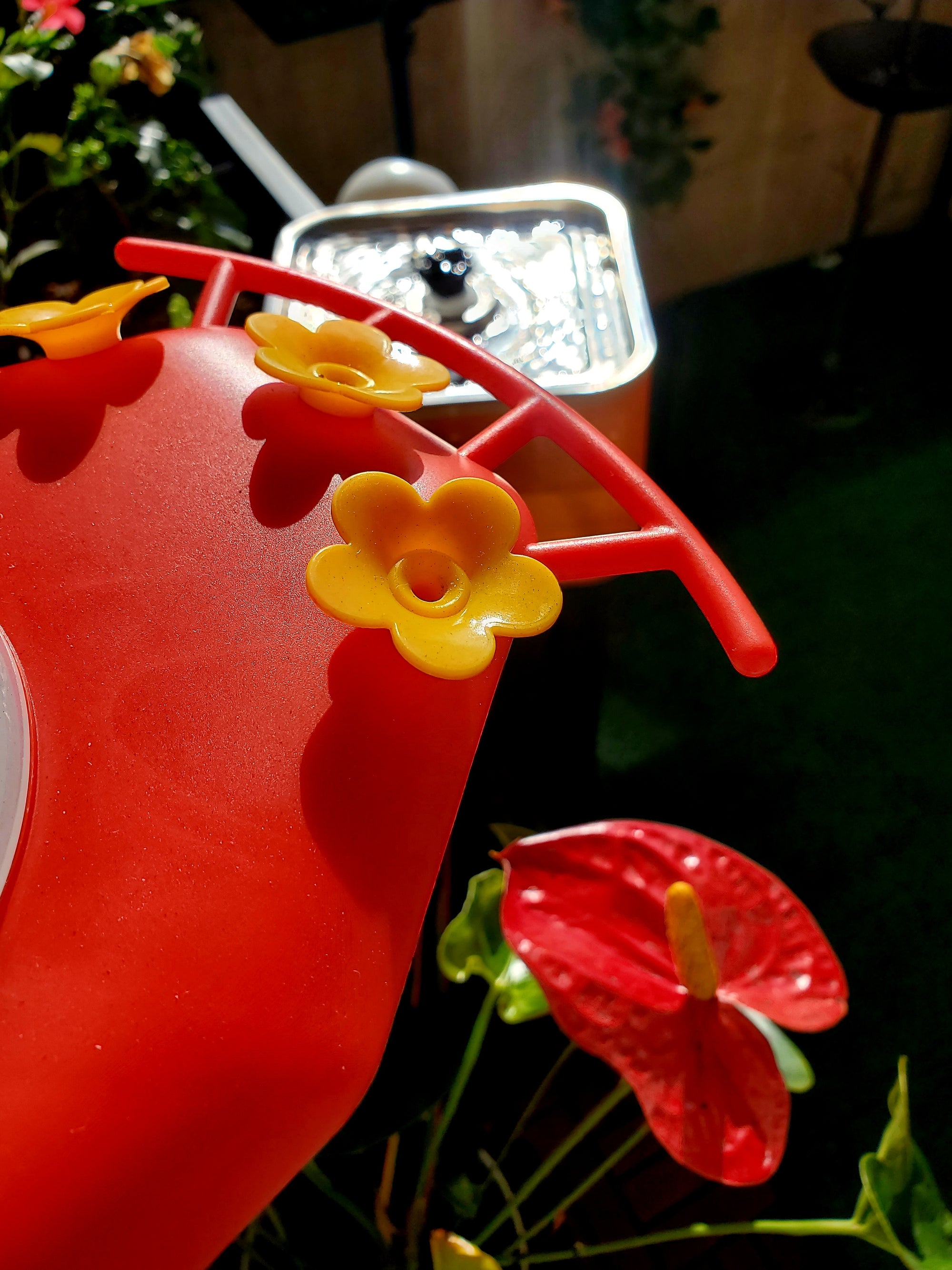 Hixx Smart Hummingbird Feeder with Camera