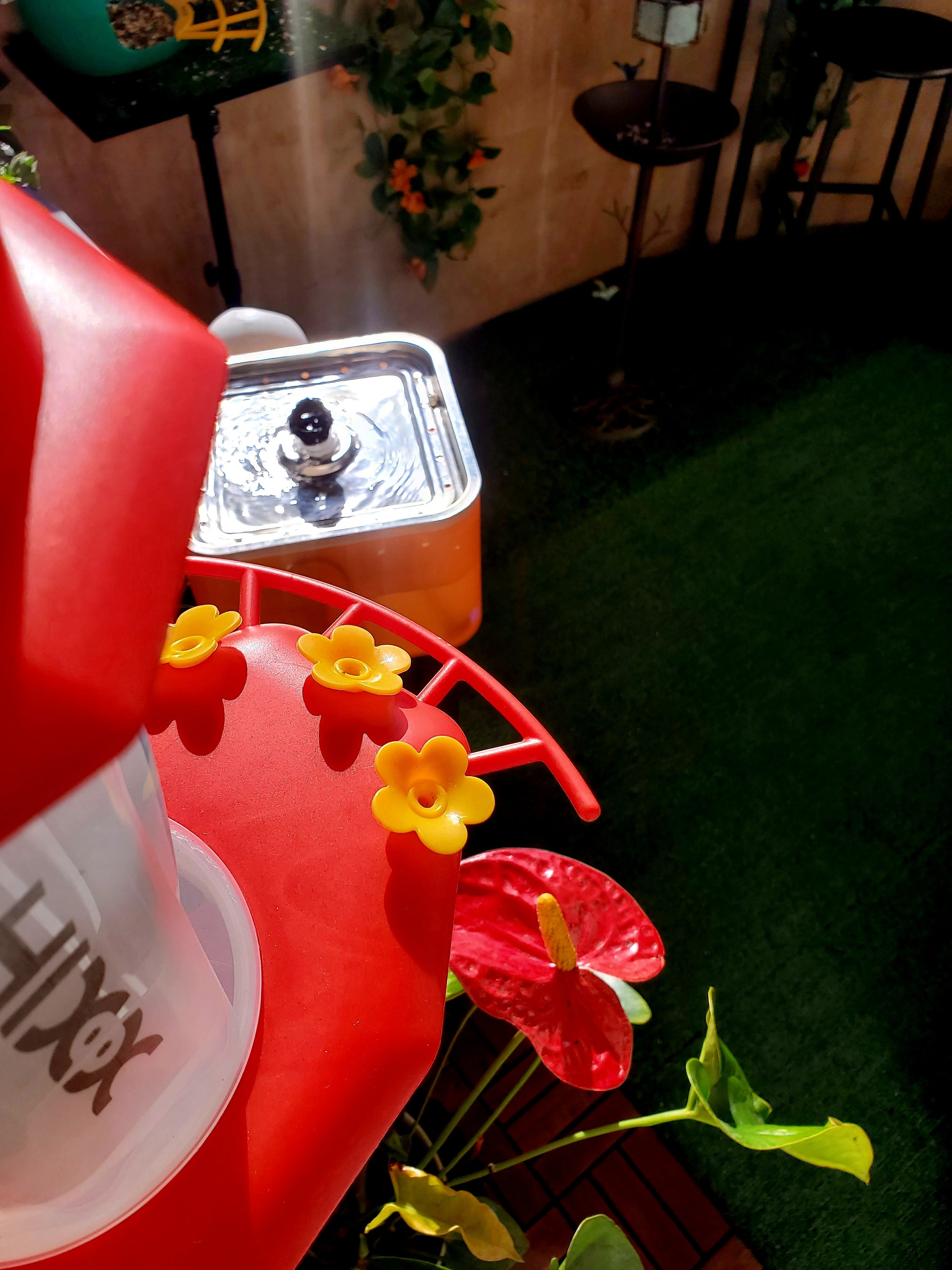Hixx Smart Hummingbird Feeder with Camera