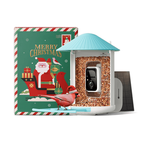 Birdfy Feeder with Solar Panel - Solar-Powered Smart Bird Feeder with Camera