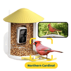 Birdfy Feeder - AI-Powered Smart Bird Feeder with Camera