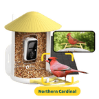 Birdfy Feeder with Solar Panel - Solar-Powered Smart Bird Feeder with Camera