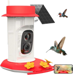 Hummingbird Feeder with Camera