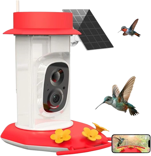 Hummingbird Feeder with Camera