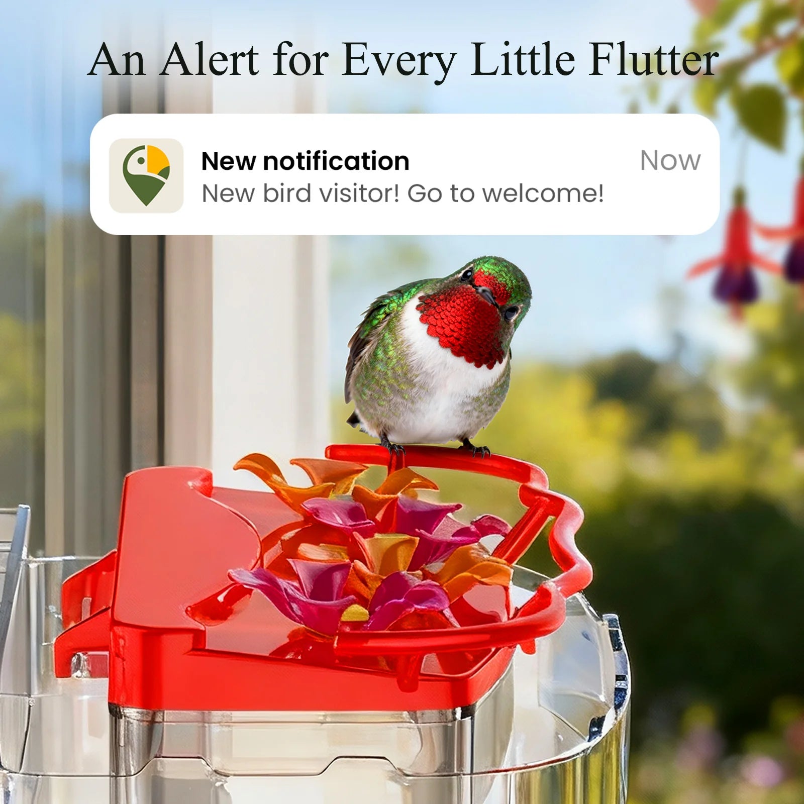 Nectlee Smart Window Hummingbird Feeder Camera