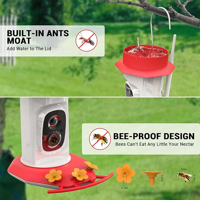 Hummingbird Feeder with Camera