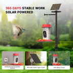 Hummingbird Feeder with Camera
