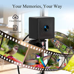 Nectlee Smart Window Hummingbird Feeder Camera