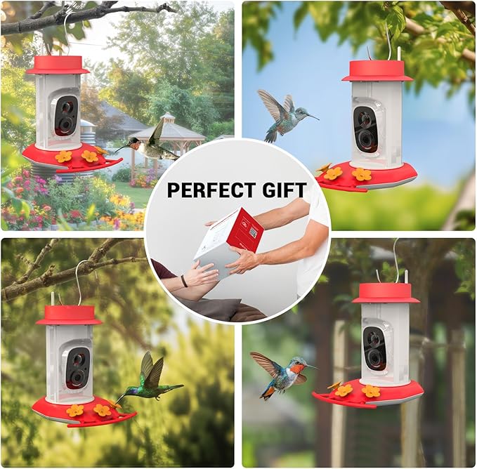 Hummingbird Feeder with Camera