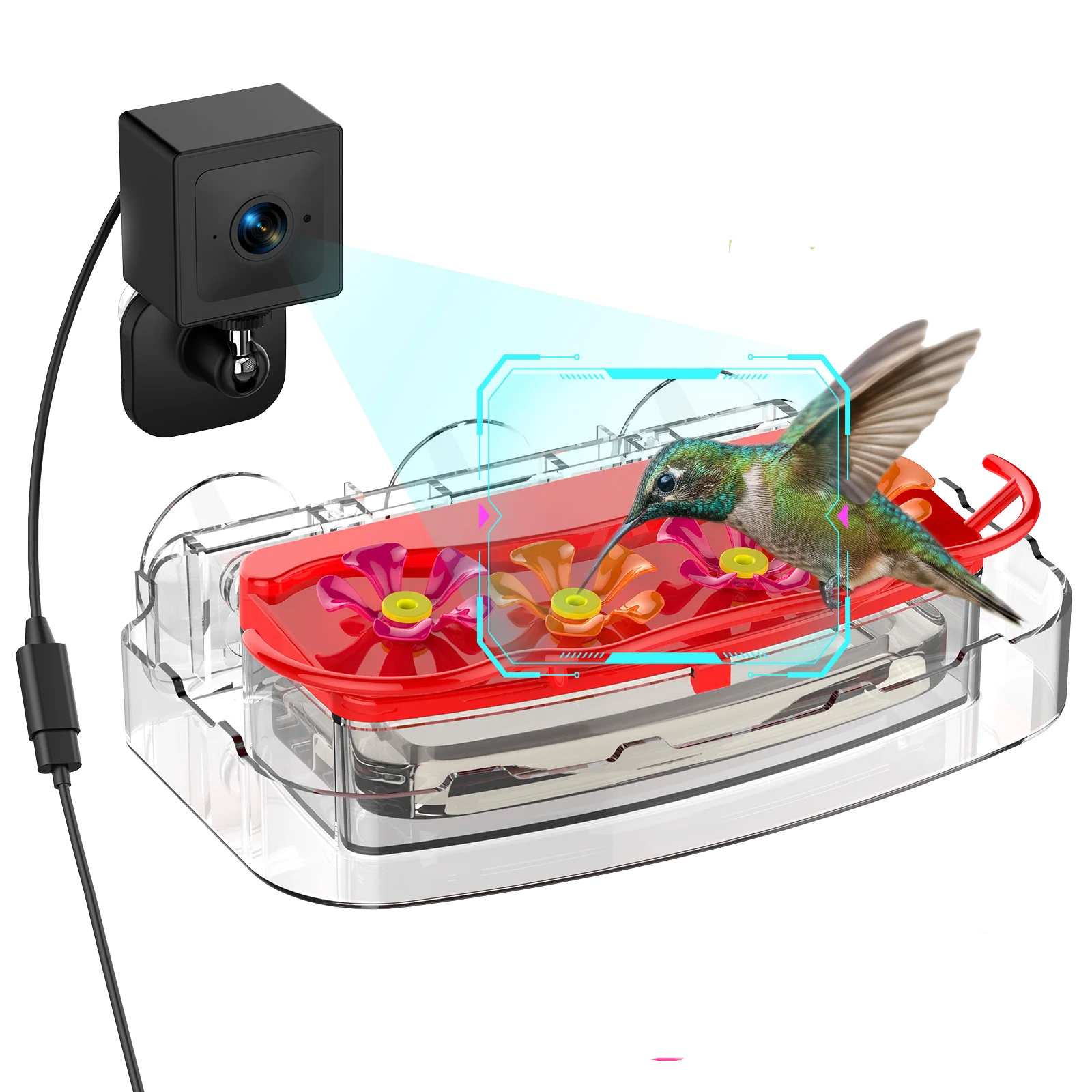 Nectlee Smart Window Hummingbird Feeder Camera