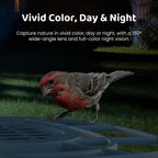 Aura Smart Bird Feeder Built-in AI