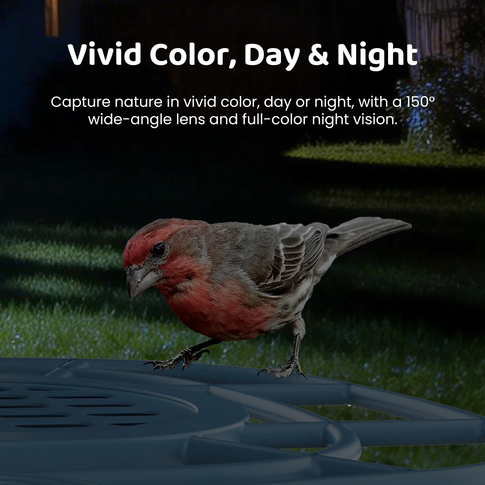 Aura Smart Bird Feeder Built-in AI