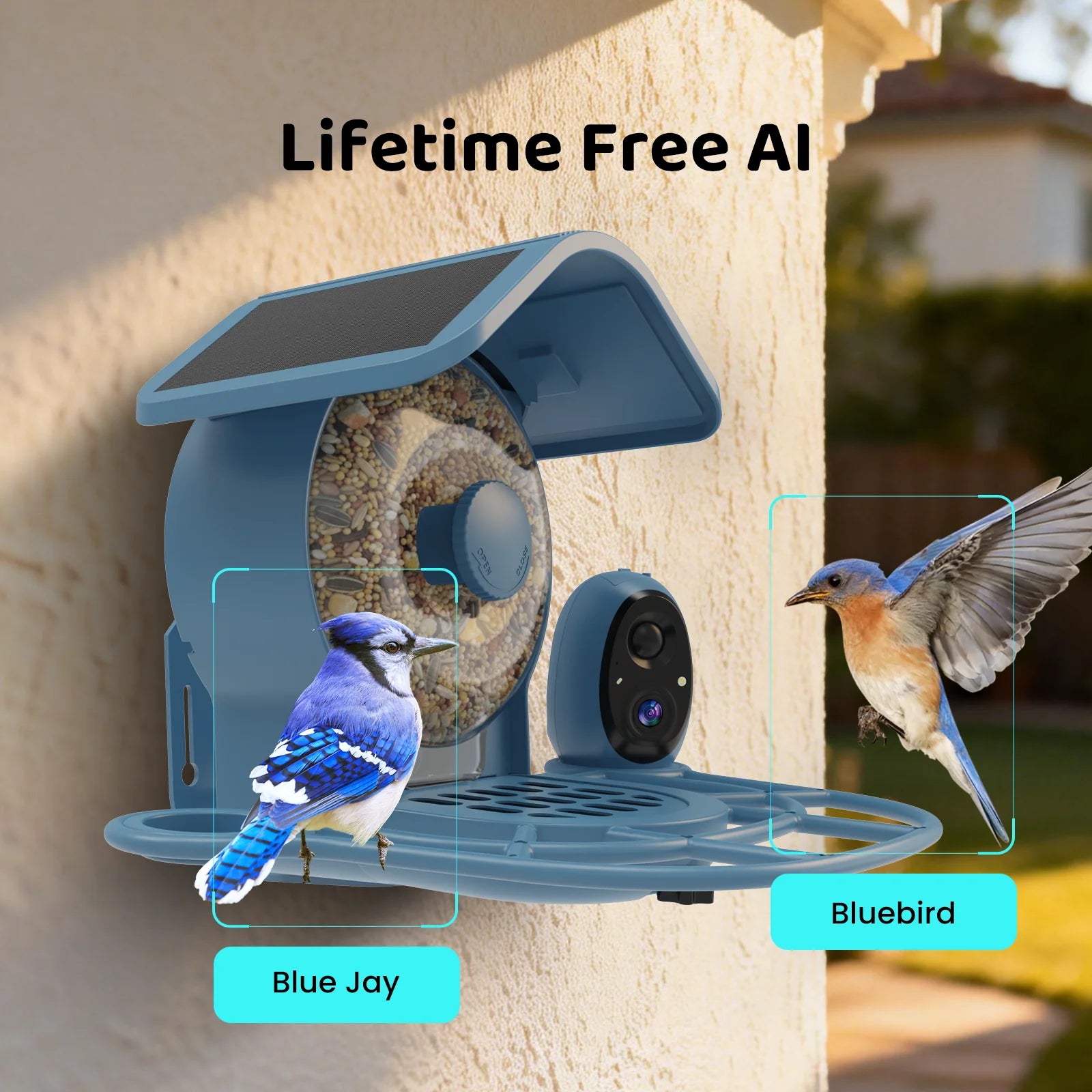 Aura Smart Bird Feeder Built-in AI