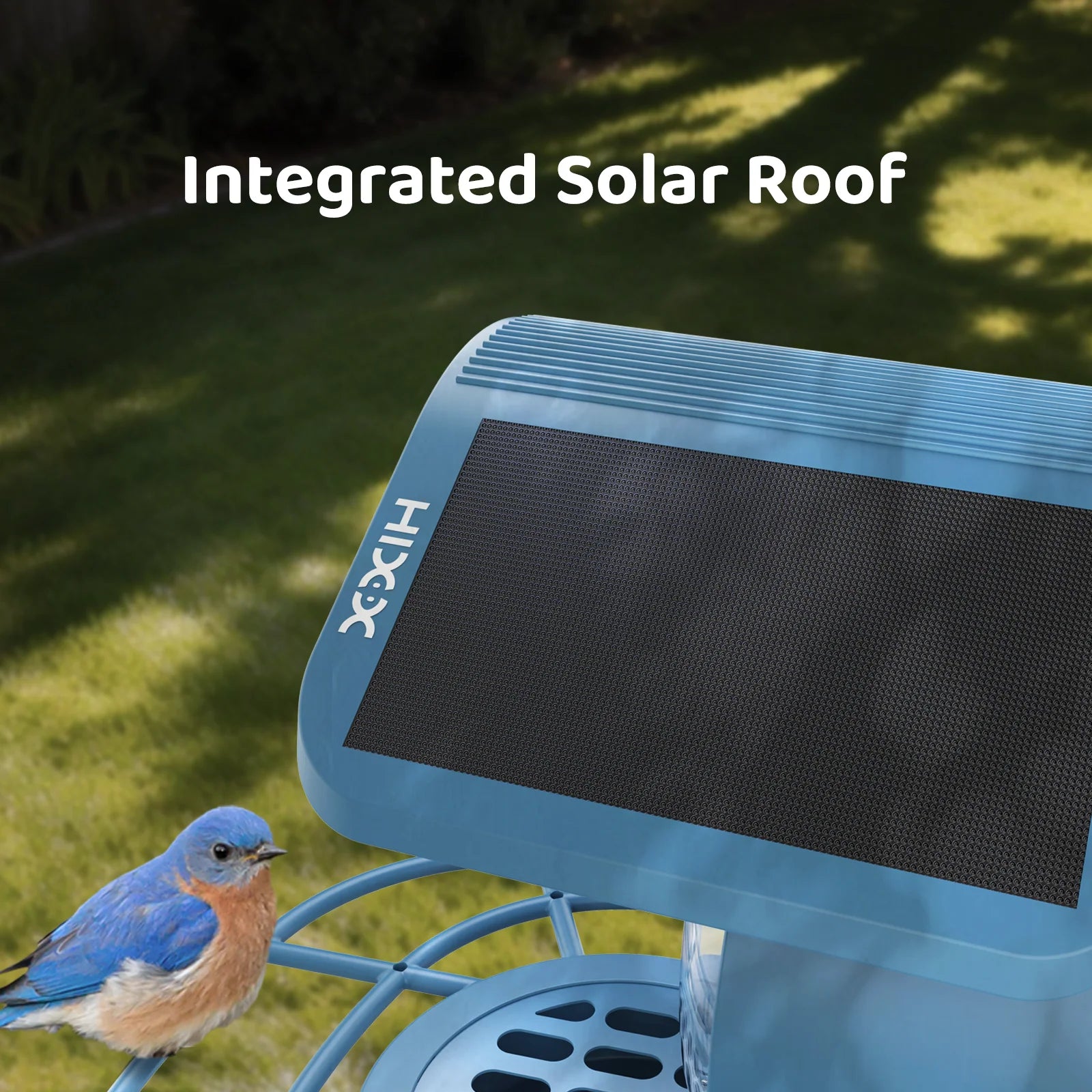 Aura Smart Bird Feeder Built-in AI