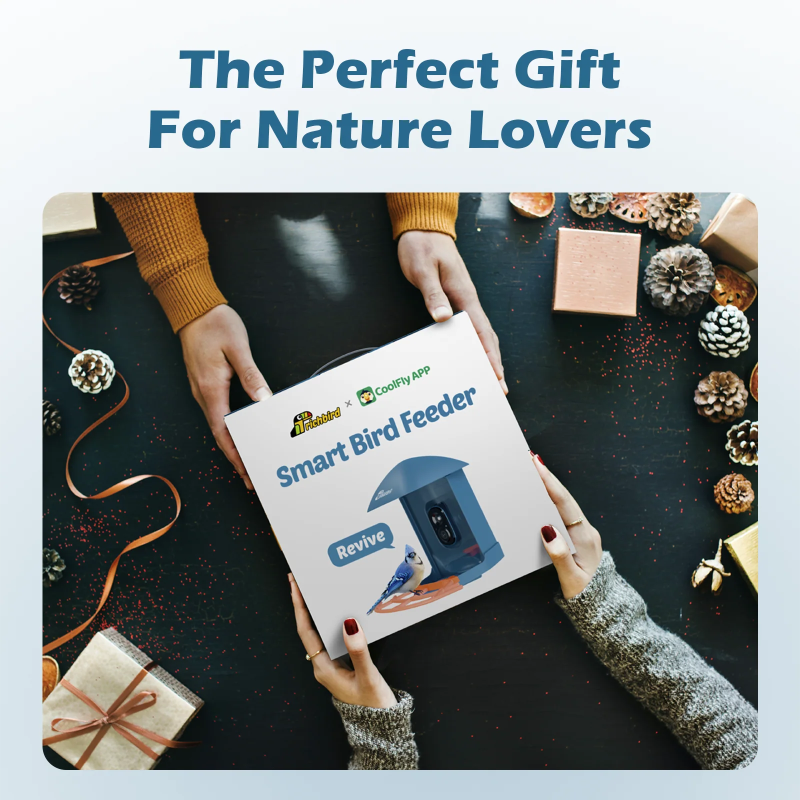 RichBird Wild Bird Feeder with Camera gift box held by two people on a festive table with pinecones and wrapped presents, ideal for nature lovers.