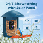 Blue_Wild_Bird_Feeder_with_Camera