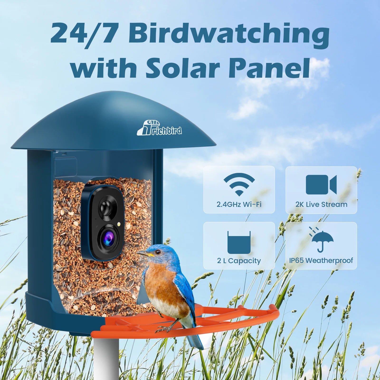 Blue_Wild_Bird_Feeder_with_Camera
