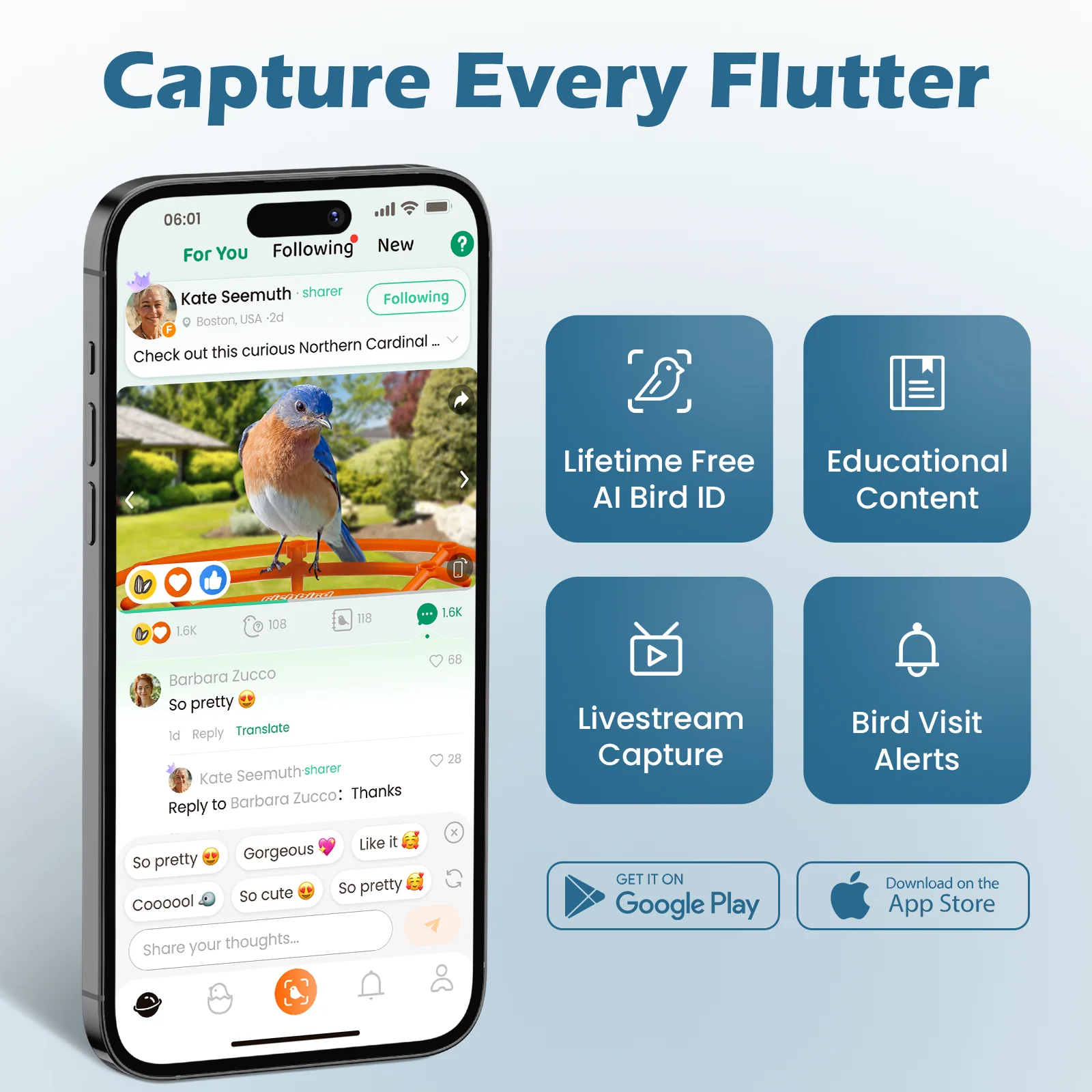 RichBird Wild Bird Feeder with Camera shown on smartphone app interface, featuring livestream capture, AI bird ID, and bird visit alerts.