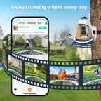 CoolFly App Dark_Blue_Bird_Feeder_with_Camera