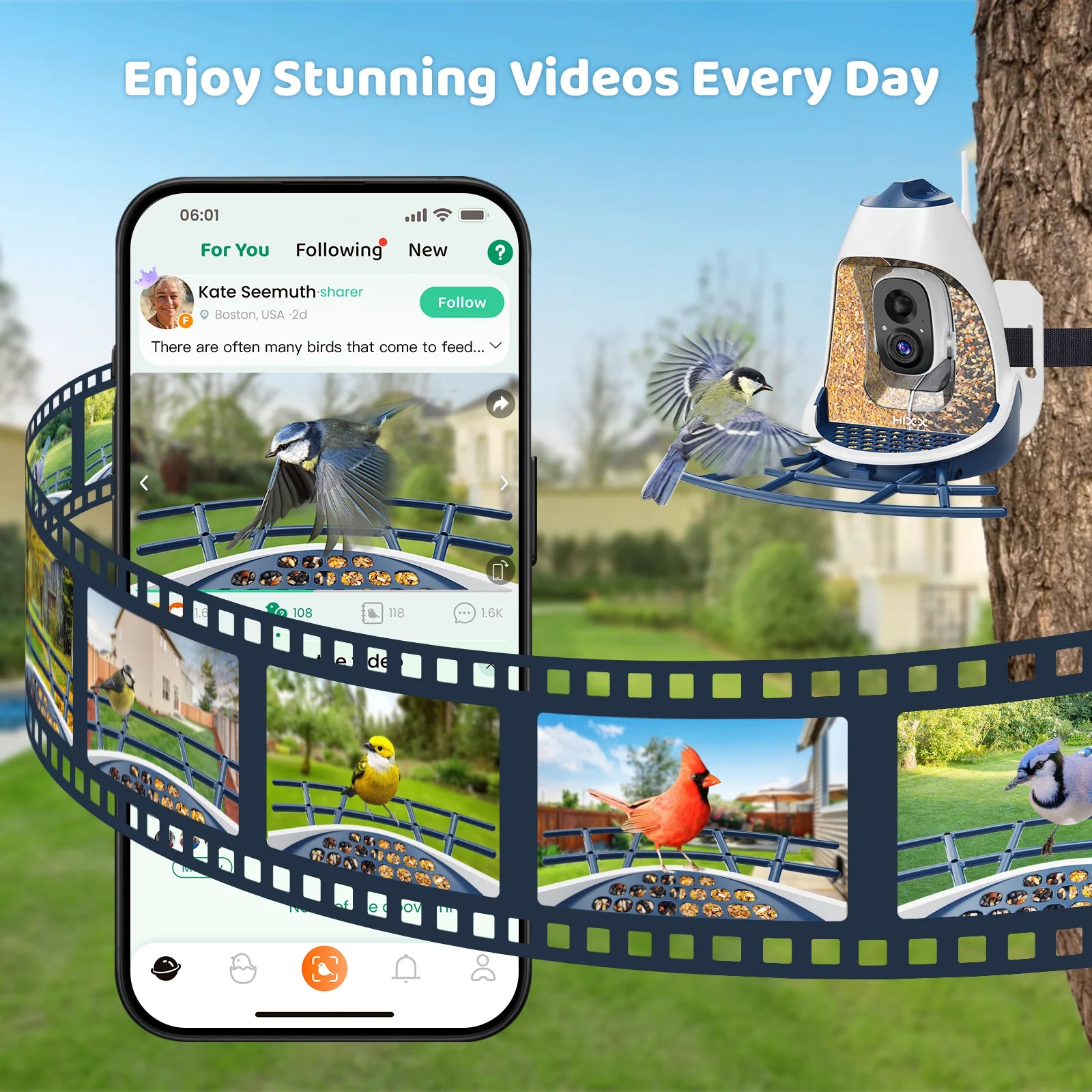 CoolFly App Dark_Blue_Bird_Feeder_with_Camera