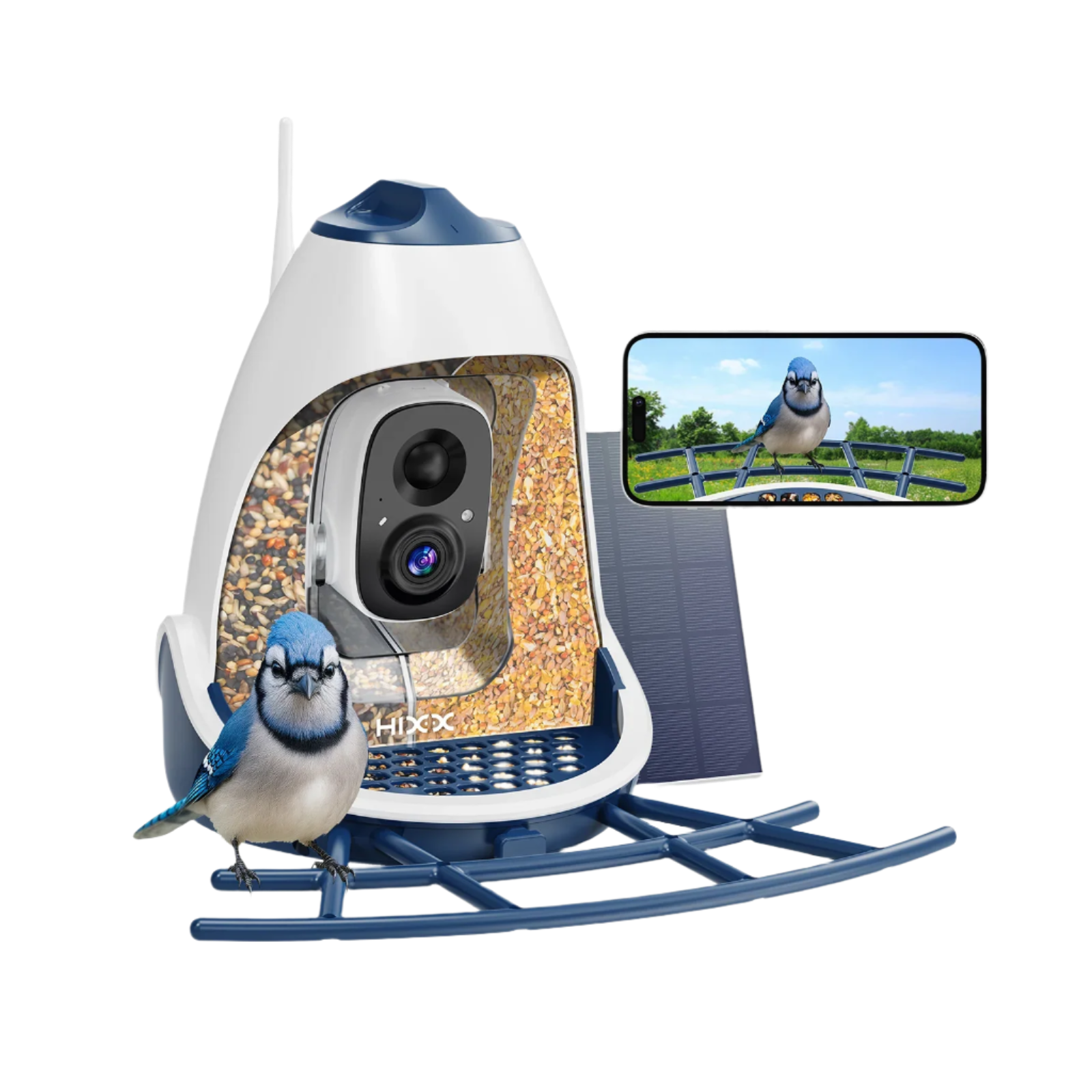 Dark_Blue_Bird_Feeder_with_Camera_Seedguard