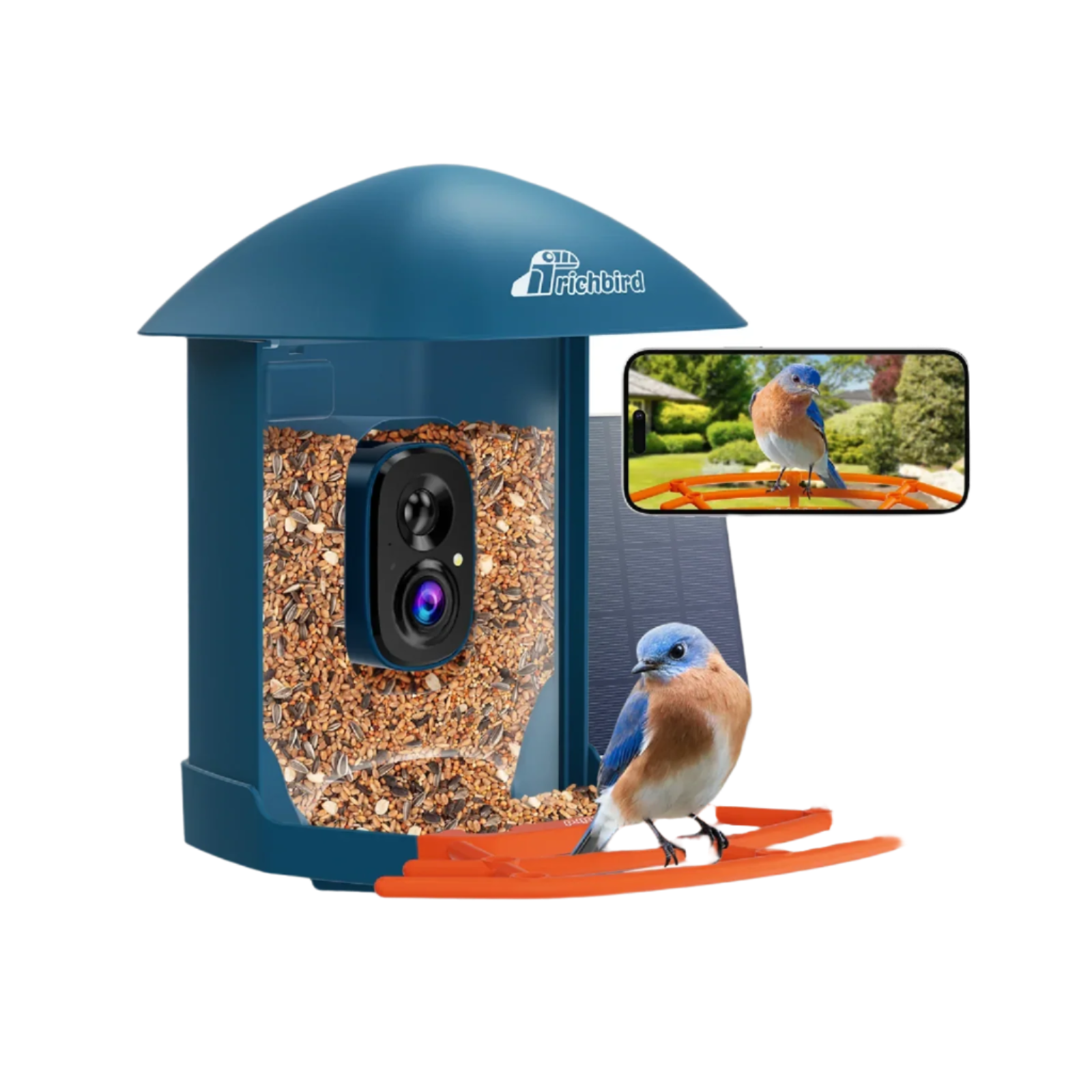 Dark_Blue_Smart_Bird_Feeder_with_Camera