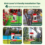 Easy Hummingbird Camera Installation-Birds of Our Lives