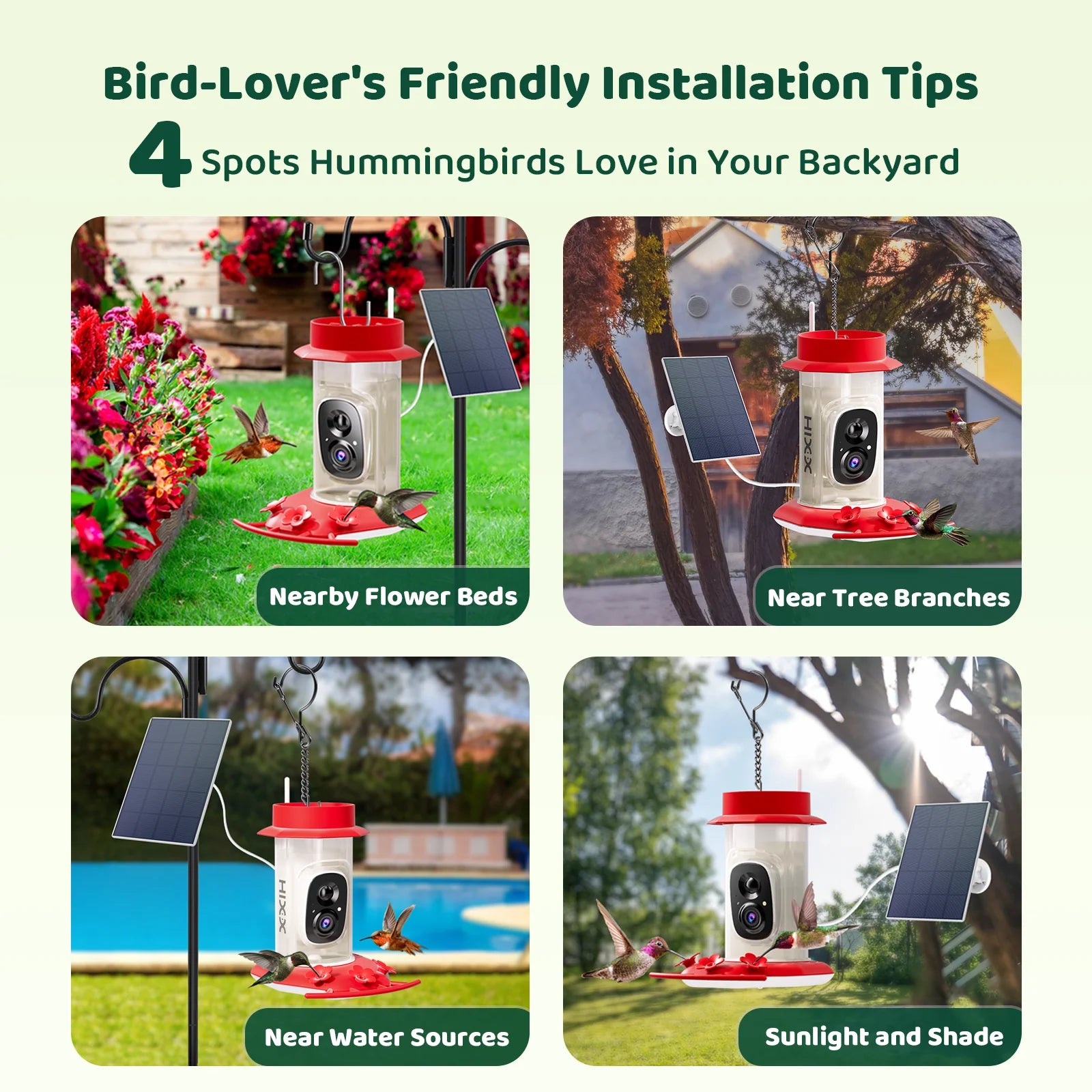 Easy Hummingbird Camera Installation-Birds of Our Lives