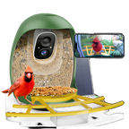 Hixx Smart Bird Feeder with Camera