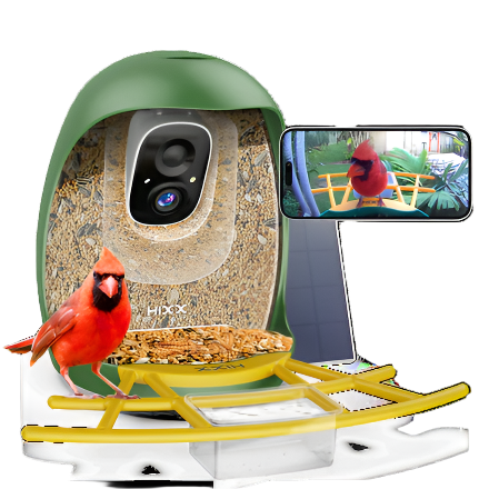 Hixx Smart Bird Feeder with Camera