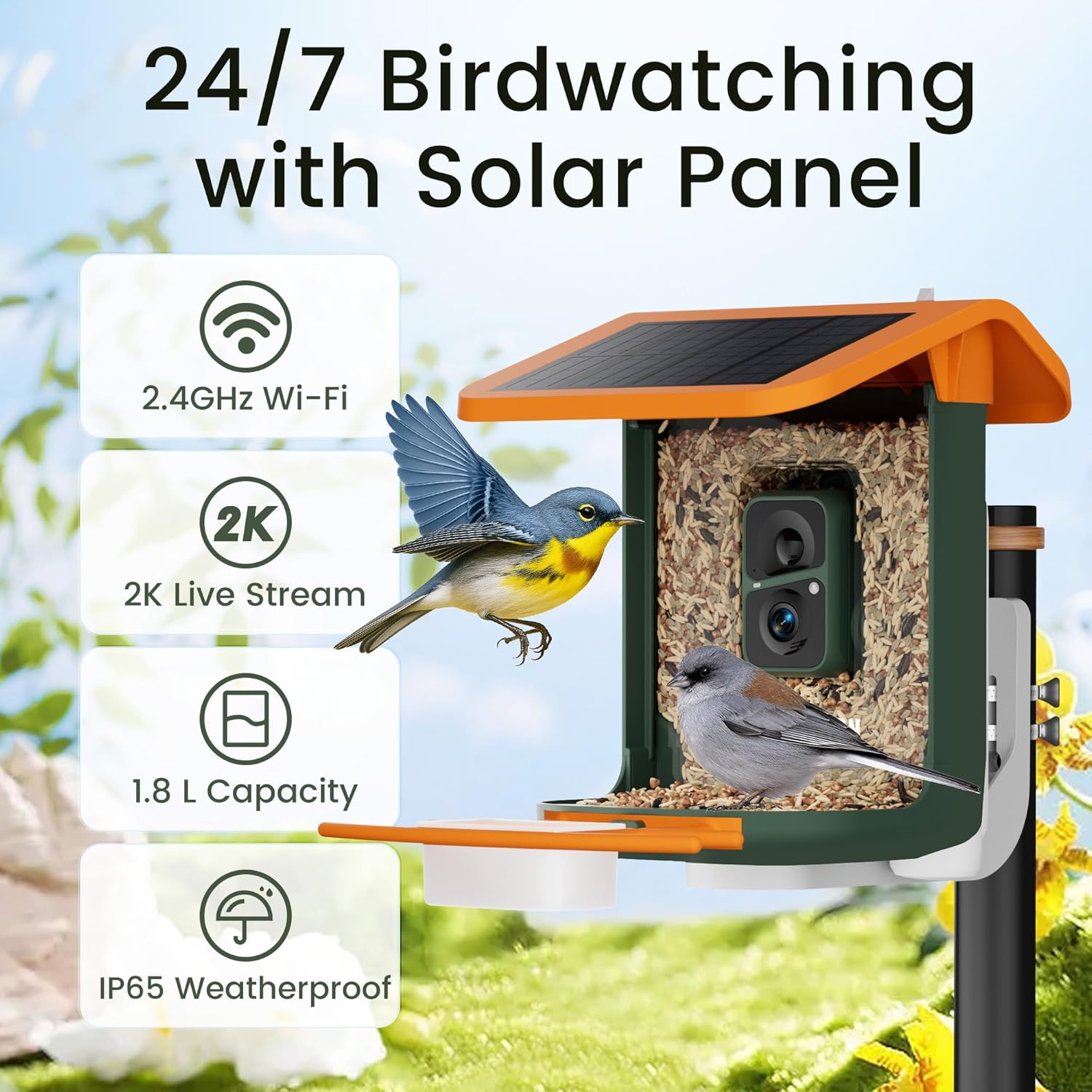 Free Season Smart Bird Feeder with Camera features 2K live stream, solar panel, AI bird ID, and IP65 weatherproof design for 24/7 birdwatching.