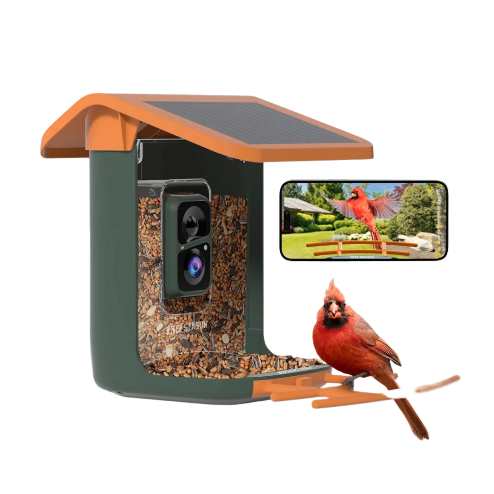 Free_Season_Smart_Bird_Feeder_with_Camera