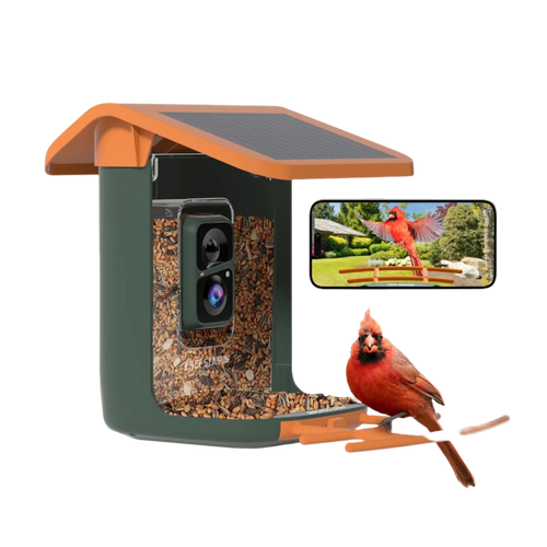 Free Season Smart Bird Feeder with Camera