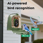 HiONE AI Smart Bird Feeder Camera 4MP