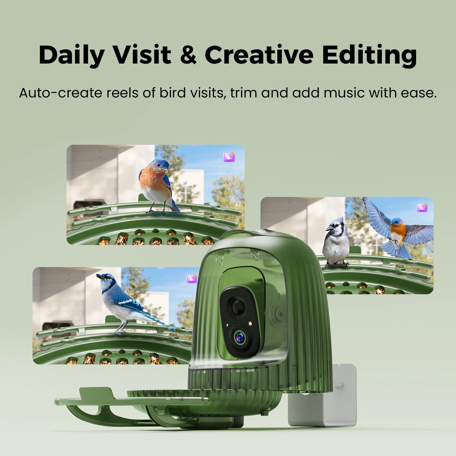 HiONE AI Smart Bird Feeder Camera 4MP