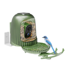 Hione_Smart_AI_Bird_Feeder_with_Camera_Birds_of_Our_Lives