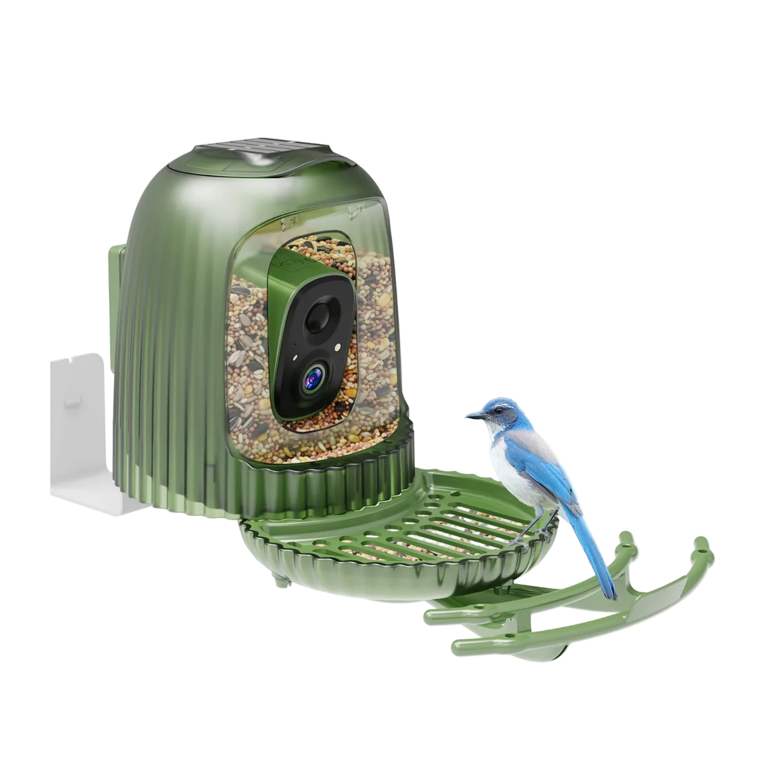 Hione_Smart_AI_Bird_Feeder_with_Camera_Birds_of_Our_Lives