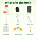 Hummingbird AI Camera Feeder- Birds of Our Lives