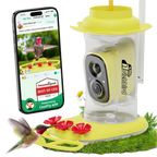 Lime_Green_Richbird_Smart_Bird_Feeder_with_Camera_-_Birds_of_Our_Lives