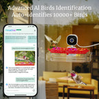 Nectlee Smart Window Hummingbird Feeder Camera