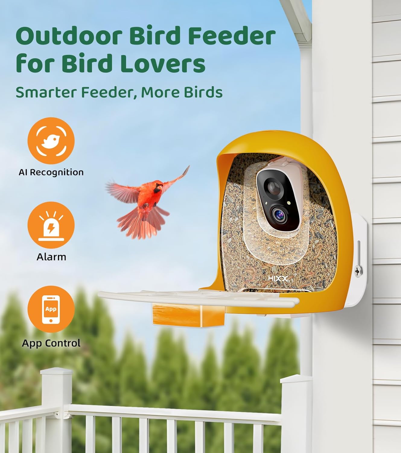 Hixx Smart Bird Feeder with Camera
