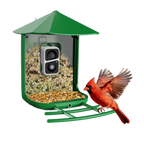 OrivantaSmartBirdFeeder2KHD-BirdsofOurLives