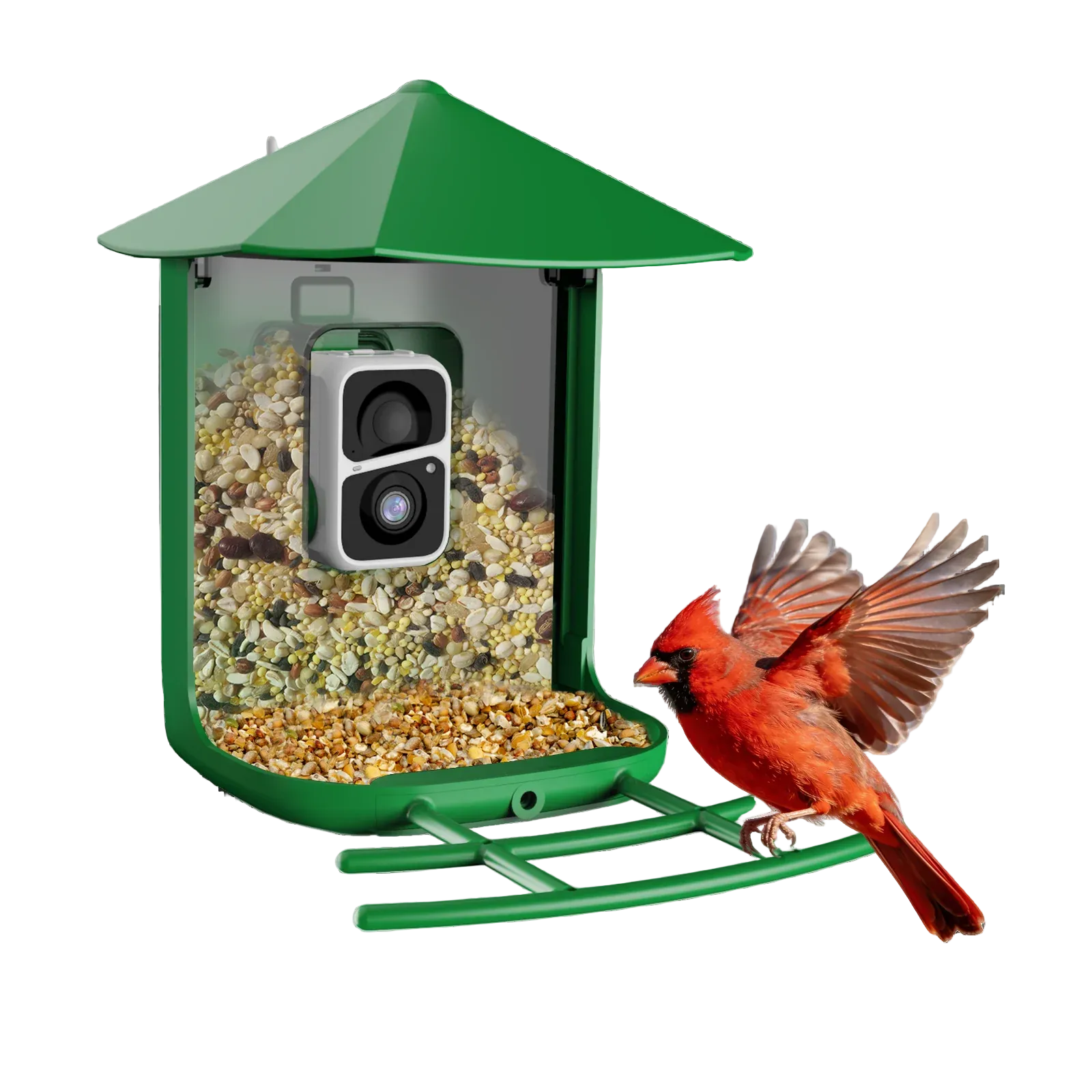 OrivantaSmartBirdFeeder2KHD-BirdsofOurLives
