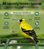 Orivanta AI Smart Bird Feeder Camera 2K HD