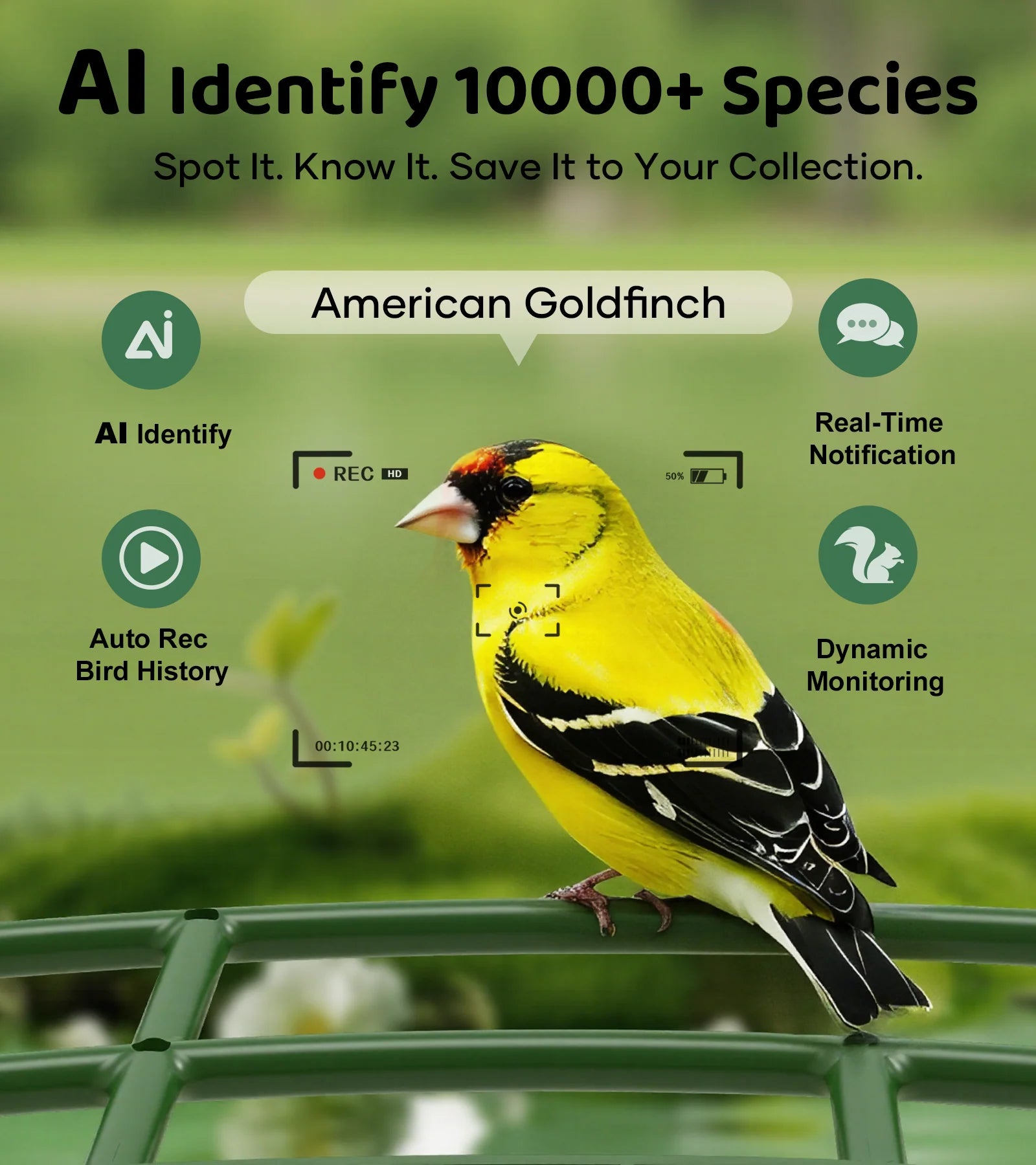 Orivanta AI Smart Bird Feeder Camera 2K HD